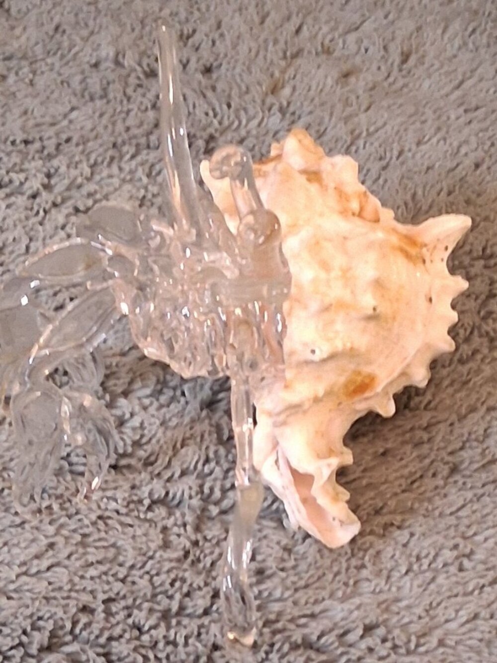 Vintage Hand Blown Clear Glass Hermit Crab Figurine Real Natural Seashell Base